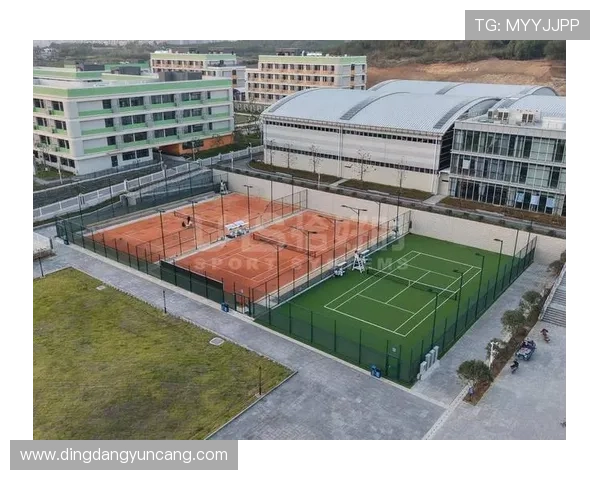 红土网球场地特性对球员技术战术与比赛节奏的深远影响分析